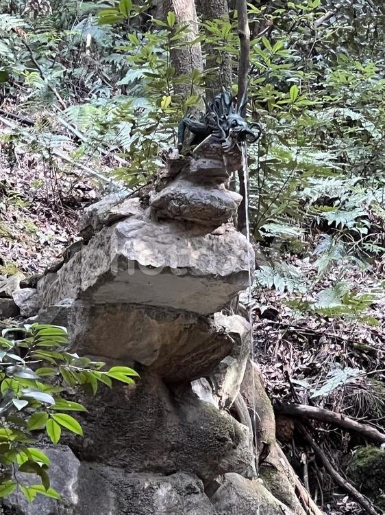 ⛩️ 호시다 묘켄궁 (코마츠 신사) 이미지 8